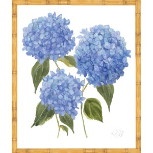 KS- HYDRANGEA BLOOMS 3